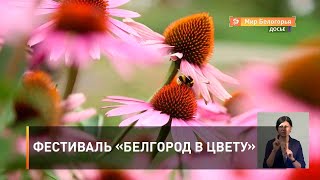 Фестиваль «Белгород в цвету»