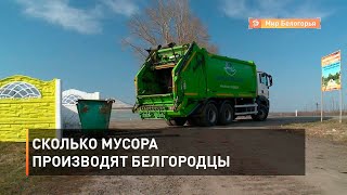 Сколько мусора производят белгородцы