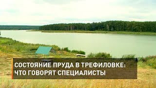 Состояние пруда в Трефиловке: что говорят специалисты