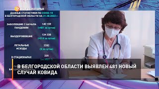 В Белгородской области выявлен 481 новый случай ковида