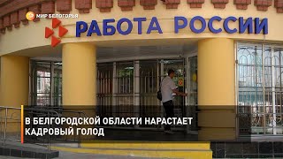 В Белгородской области нарастает кадровый голод