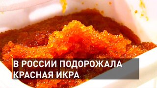 В России подорожала красная икра