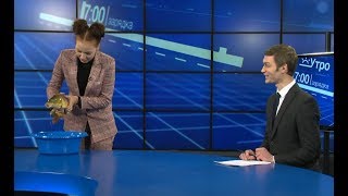 Живая рыба в студии «Мира Белогорья»