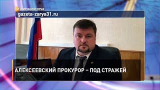 Алексеевский прокурор – под стражей