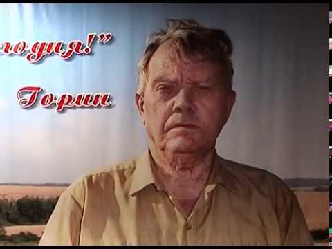 Премия имени В. Горина