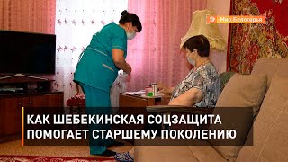 Как шебекинская соцзащита помогает старшему поколению 