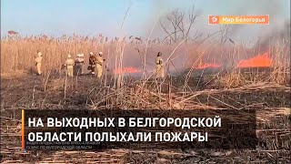 На выходных в Белгородской области полыхали пожары