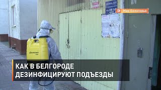 Как в Белгороде дезинфицируют подъезды
