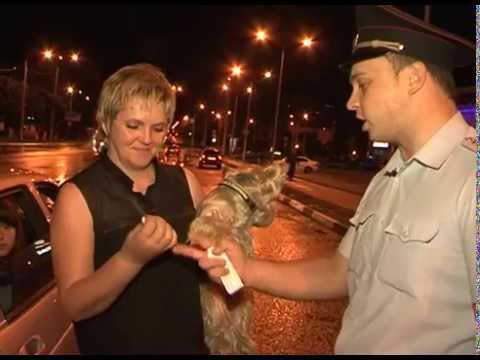 Для чего пешеходам световозвращатели