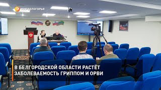 В Белгородской области растёт заболеваемость гриппом и ОРВИ