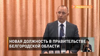 Новая должность в правительстве Белгородской области 