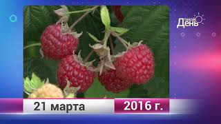 Ретро-новости. Белгородская область. 21 марта