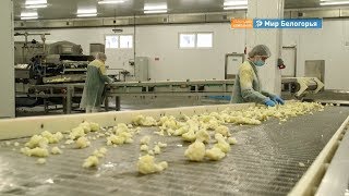Завод по производству замороженных овобщей открылся в Шебекине