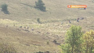 Проект «Зеленая столица» завершится в этом году