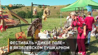 Фестиваль «Дикое поле» в яковлевском Пушкарном
