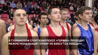 В Губкинском спорткомплексе «Горняк» проходит межрегиональный турнир по боксу «Zа Победу!»