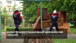 Волонтёры восстанавливают Шебекинский горокруг