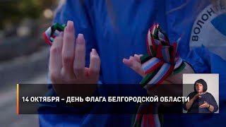 14 октября – День флага Белгородской области