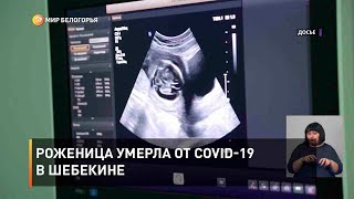 Роженица умерла от COVID-19 в Шебекине