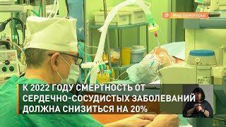 К 2022 году смертность от сердечно-сосудистых заболеваний должна снизиться на 20%