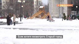 Насколько участливы старооскольцы: социальный эксперимент 