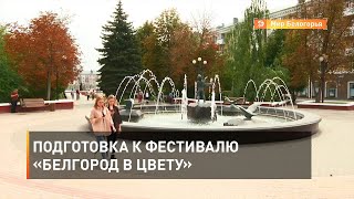 Подготовка к фестивалю «Белгород в цвету»