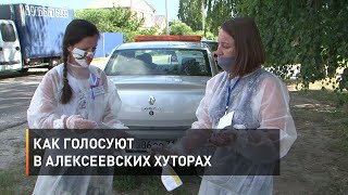 Как голосуют в алексеевских хуторах