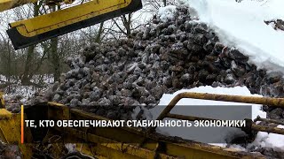 Те, кто обеспечивают стабильность экономики