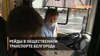 Рейды в общественном транспорте Белгорода