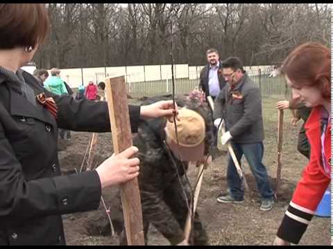 Где получить георгиевскую ленточку