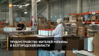 Трудоустройство жителей Украины в Белгородской области