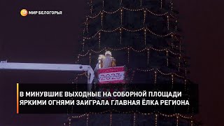 В минувшие выходные на Соборной площади яркими огнями заиграла главная ёлка региона