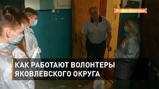 Как работают волонтеры Яковлевского округа