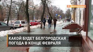 Какой будет белгородская погода в конце февраля 