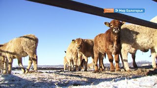 Деньги для белгородских предпринимателей