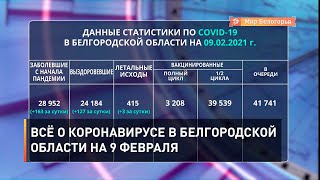Всё о коронавирусе в Белгородской области на 9 февраля