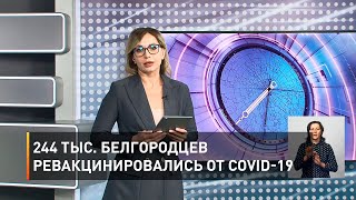 244 тыс. белгородцев ревакцинировались от COVID-19