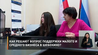 Как решают вопрос поддержки малого и среднего бизнеса в Шебекино?