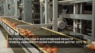  По итогам 2023 года в Белгородской области уровень самообеспечения картошкой достиг 101%