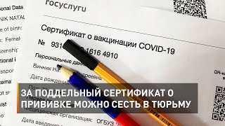 За поддельный сертификат о прививке можно сесть в тюрьму