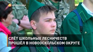 Слёт школьных лесничеств прошёл в Новооскольском округе