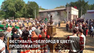 Фестиваль «Белгород в цвету» продолжается
