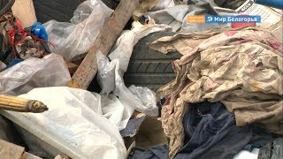 Куда жаловаться на стихийные свалки