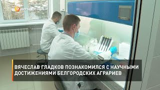 Вячеслав Гладков познакомился с научными достижениями белгородских аграриев