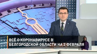 Всё о коронавирусе в Белгородской области на 2 февраля