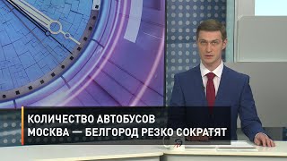 Количество автобусов Москва — Белгород резко сократят
