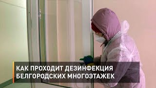 Как проходит дезинфекция белгородских многоэтажек