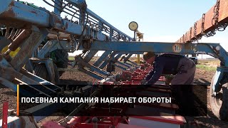Посевная кампания набирает обороты