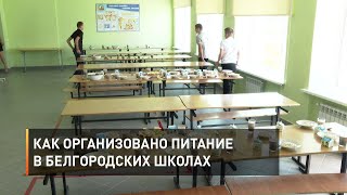 Как организовано питание в белгородских школах