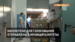 Бюллетени для голосования 1 июля отправлены в муниципалитеты